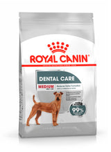Load image into Gallery viewer, Royal Canin Medium Dental Care Adult Dog Food