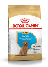 Load image into Gallery viewer, Royal Canin Poodle Junior Puppy Food