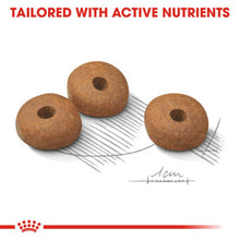 Load image into Gallery viewer, Royal Canin Mini Light Weight Care Adult Dog Food