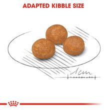 Load image into Gallery viewer, Royal Canin X-Small Adult Dog Food