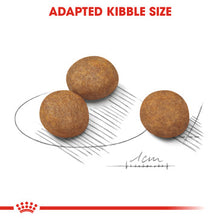 Load image into Gallery viewer, Royal Canin Maxi Puppy Food
