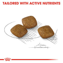 Load image into Gallery viewer, Royal Canin Mini Relax Care Adult Dog Food