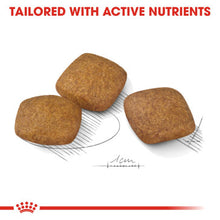 Load image into Gallery viewer, Royal Canin Maxi Relax Care Adult Dog Food