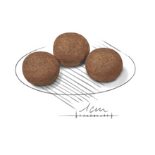 Load image into Gallery viewer, Royal Canin Medium Junior Puppy