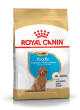 Load image into Gallery viewer, Royal Canin Poodle Junior Puppy Food
