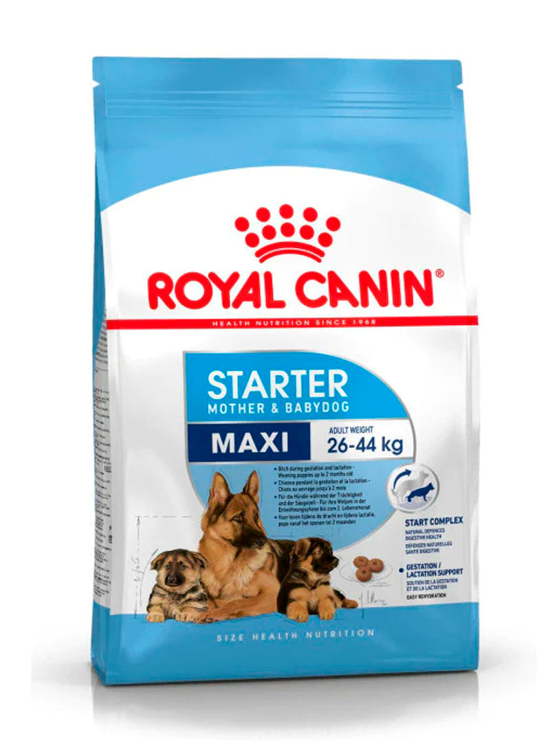 Royal Canin Maxi Starter Mother & Babydog Food