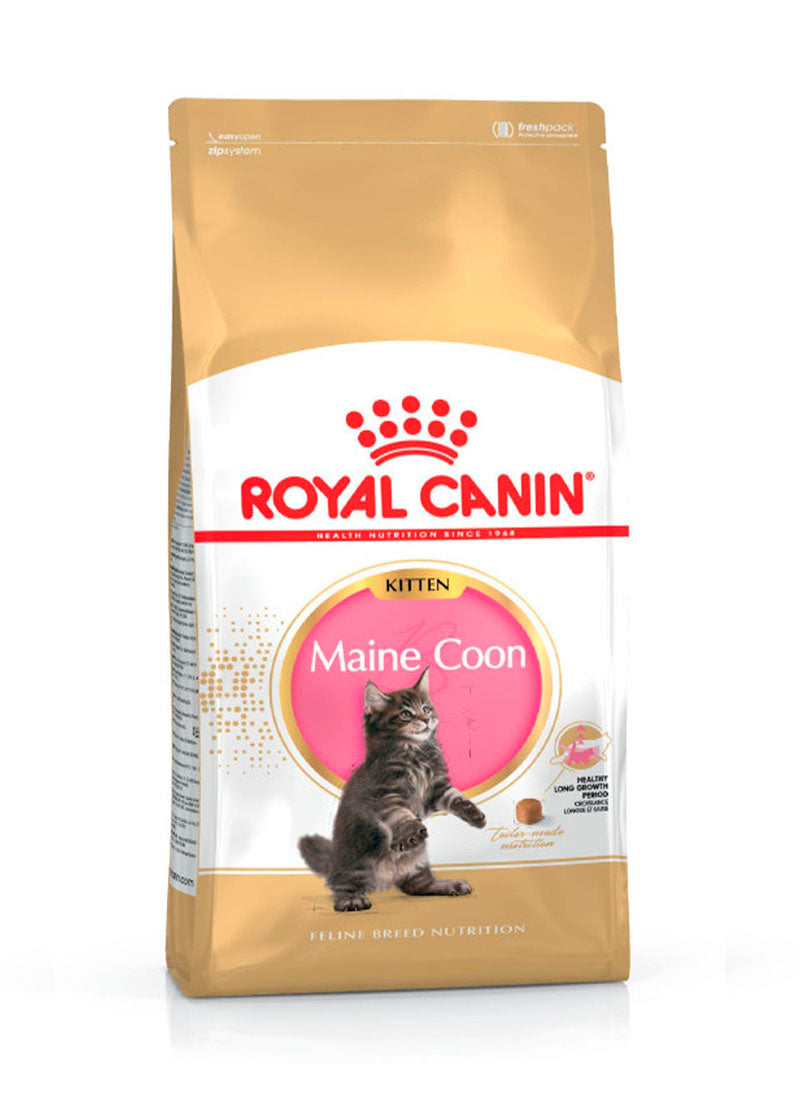 Royal Canin Maine Coon Kitten Food