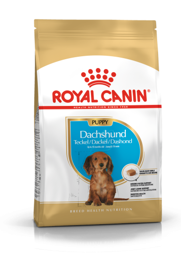 Royal Canin Dachshund Junior Puppy Food