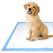 Load image into Gallery viewer, PUPPY TRAINING PADS (X7)
