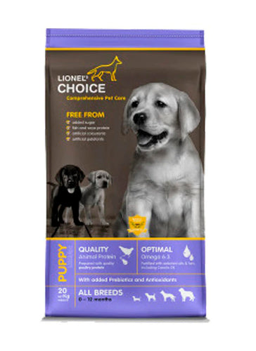 LIONELS CHOICE (Puppy)Happy Pawz  pet store