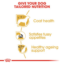 Load image into Gallery viewer, ROYAL CANIN Yorkshire Terrier Adult Dog FoodHappy Pawz  pet store
